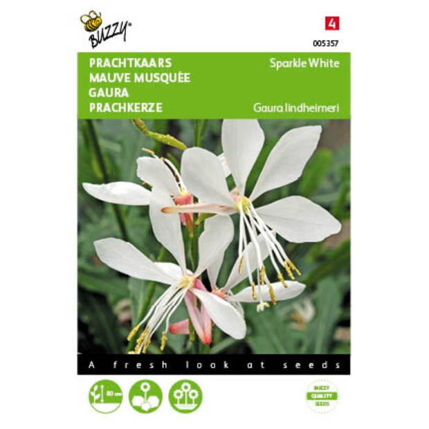 5 stuks Gaura lindheimerii Sparkle White Tuinplus