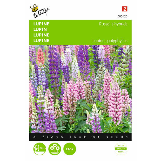 2 stuks Lupinus polyphyllus Russell s Hybriden Gemengd