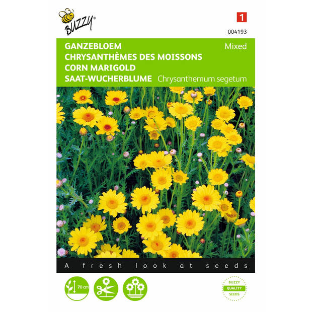 2 stuks Chrysanthemum Segetum Gemengd