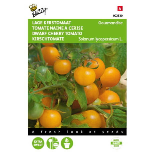 5 stuks Tomaten Gourmandise (gele cherry patio) Tuinplus