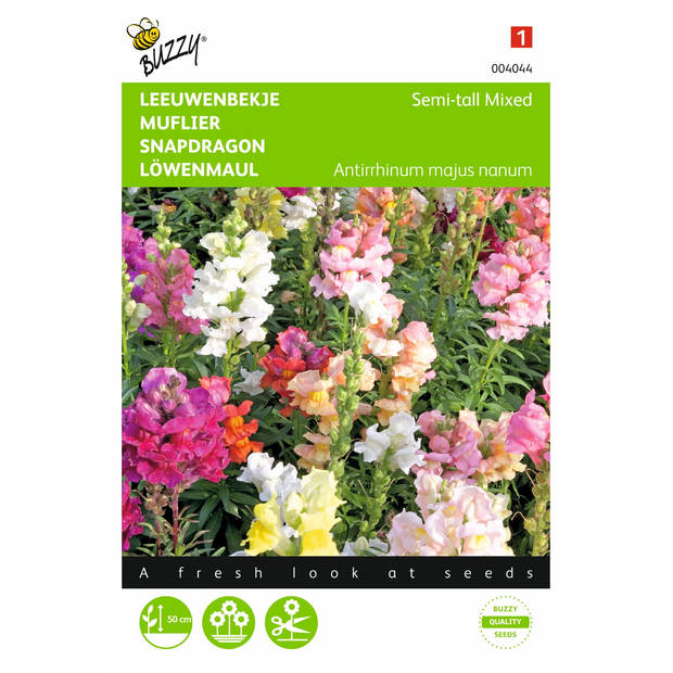 2 stuks Antirrhinum Majus Nanum Gemengd