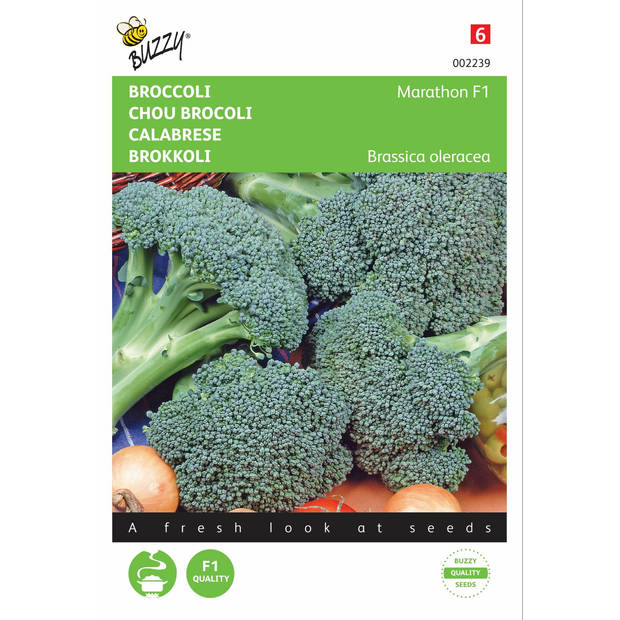 2 stuks Broccoli Southern Comet F1