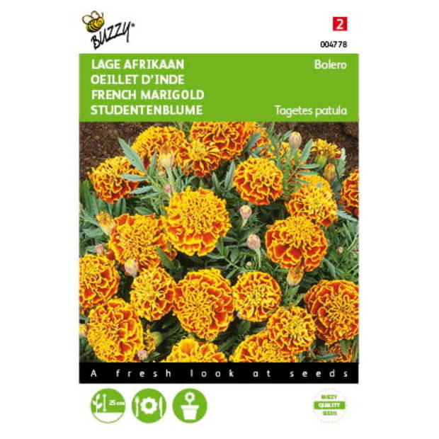 2 stuks Tagetes patula nana Bolero