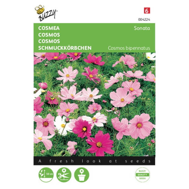 2 stuks Cosmea Sonate Gemengd