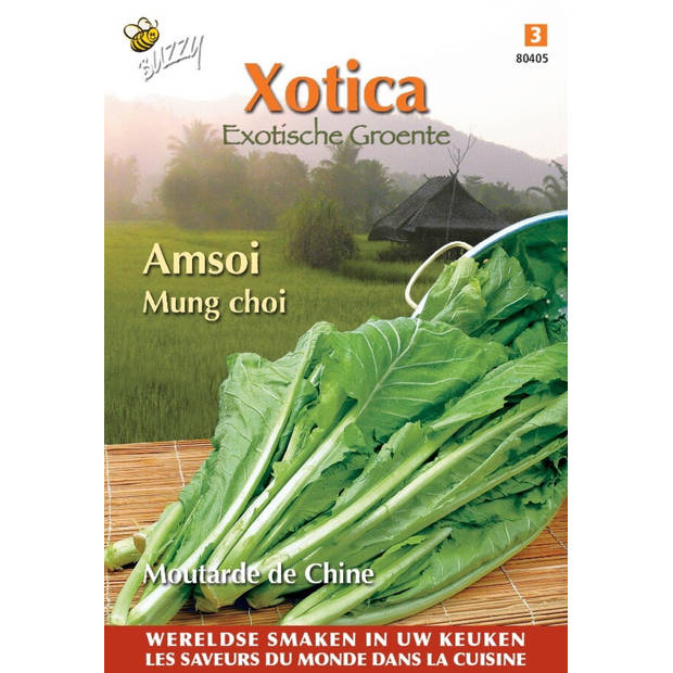 3 stuks Xotica amsoi mung choi