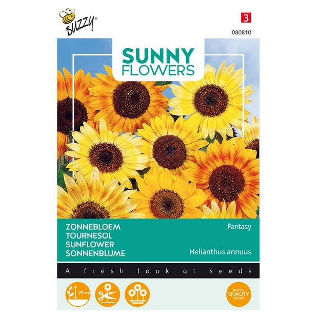 3 stuks Sunny flowers music box