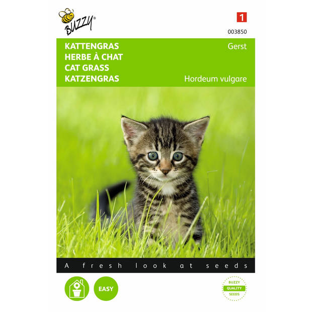 5 stuks Kattengras Gerst