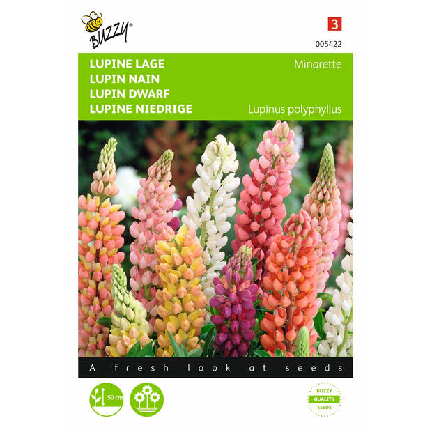 2 stuks Lupinus polyphyllus Russel s Minarette Gemengd