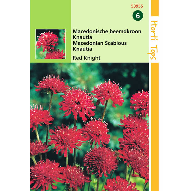 Hortitops - 2 stuks Knautia macedonica Red Knight