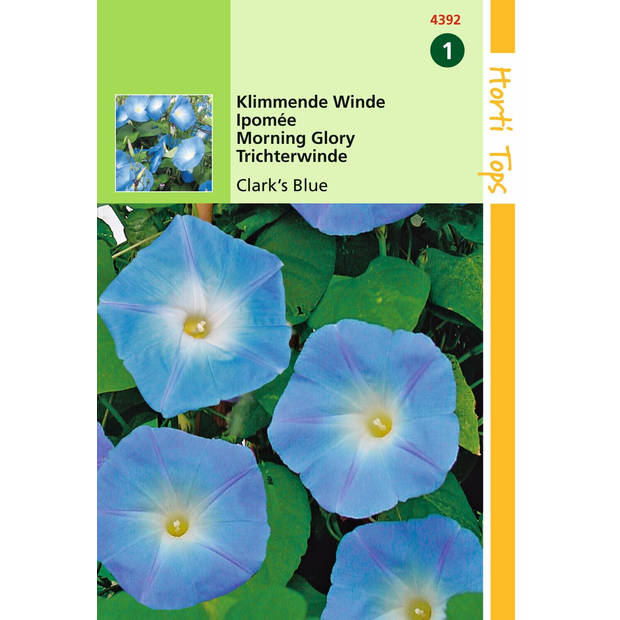 Hortitops - 2 stuks Ipomoea tricolor rubro c. Clark s Blue