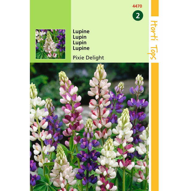 Hortitops - 2 stuks Lupinus Nanus Pixie Delight Gemengd