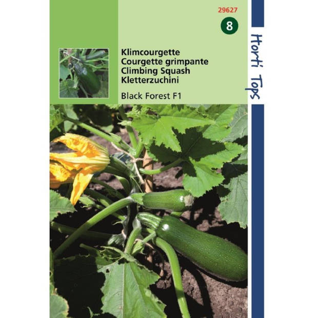 HT Courgette Black Forest F1 (klimmend)