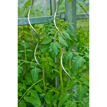 Nature - 3 stuks Tomatensteunen spiraalvormig verzinkt H1,80m dia. 6,8mm