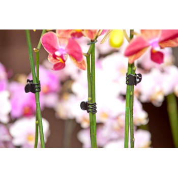 Nature - Orchidee clips zwart set a 10 stuks