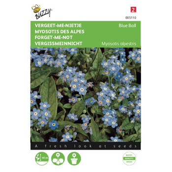 2 stuks Myosotis alpestris Blauw vergeet me niet