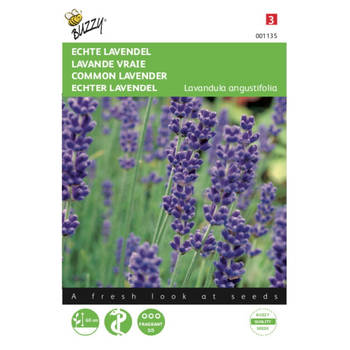 2 stuks Lavendel Lavandula officinalis