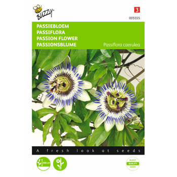 2 stuks Passiflora coerulea Passiebloem