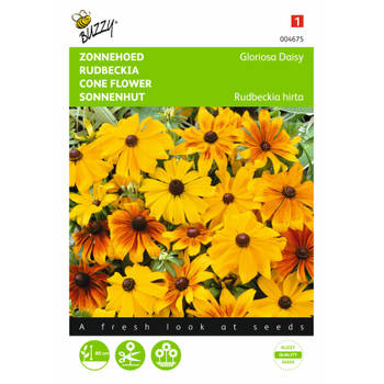 2 stuks Rudbeckia hirta Gloriosa Daisy Gemengd