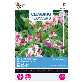 3 stuks Flowering climbers lathyrus unwin's striped