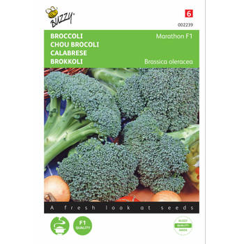 2 stuks Broccoli Southern Comet F1