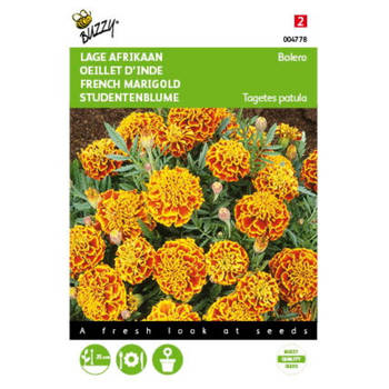 2 stuks Tagetes patula nana Bolero