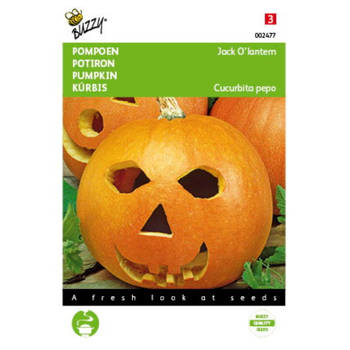 5 stuks Pompoenen Jack O Lantern (Cucub.Pepo)