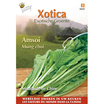 3 stuks Xotica amsoi mung choi