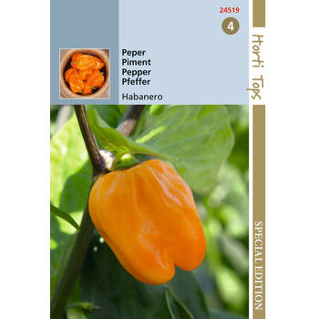 Hortitops - 5 stuks HTS Peper Habanero, oranje