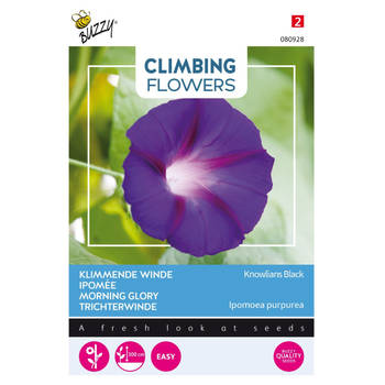 3 stuks Flowering climbers ipomoea knowlians black