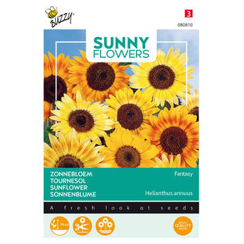 3 stuks Sunny flowers music box