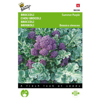 5 stuks Broccoli Summer Purple Tuinplus