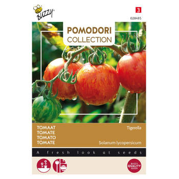 3 stuks Pomodori tigerella