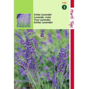 2 stuks Lavendel Lavandula Officinalis