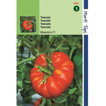 2 stuks Tomaten Beefmaster F1