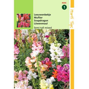 2 stuks Antirrhinum Majus Nanum Gemengd