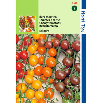 2 stuks Tomaten Cherry 4 kleuren