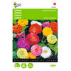 2 stuks Zinnia elegans Dubbele Dahliabl. Gemengd