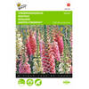 2 stuks Digitalis purpurea Gemengd