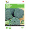 5 stuks Broccoli Groene Calabria