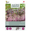 5 stuks Microgreens Radijs (rood)