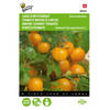 5 stuks Tomaten Gourmandise (gele cherry patio) Tuinplus