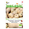 5 stuks Organic Wintersquash Waltham Butternut (Skal 14275)