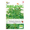 5 stuks Organic Marjolein - Oregano (Skal 14725) Tuinplus