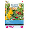 3 stuks Flowering climbers tropaeolum jewel of africa