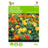 2 stuks Tagetes patula nana Bonita Dubbelbl. Gemengd