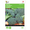 2 stuks Broccoli Southern Comet F1