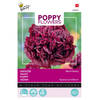 5 stuks Poppies of the world - Papaver Black Paeony