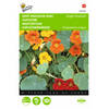 2 stuks Tropaeolum majus Enkelbloemig Mengsel