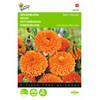 2 stuks Calendula Officinalis Dubbelbl.Ball S Oranje