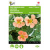 5 stuks Tropaeolum majus nanum Alaska TT Salmon Tuinplus